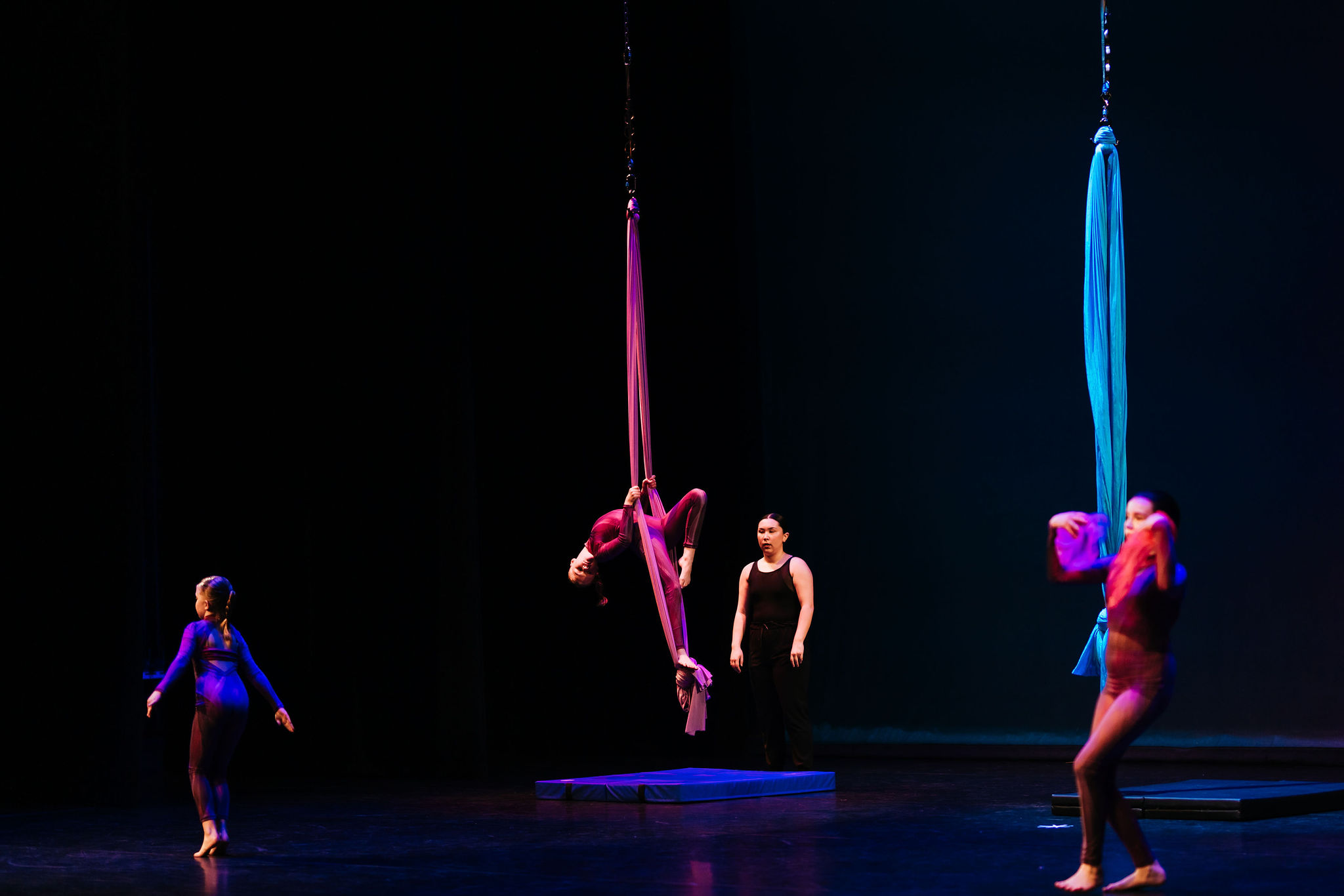 Circus Arts / Aerial Silks